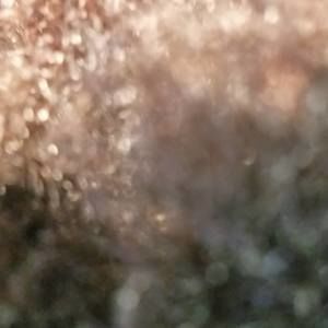 Meet your Posher, Luke